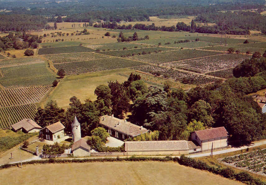 Château Latour Martillac n°1