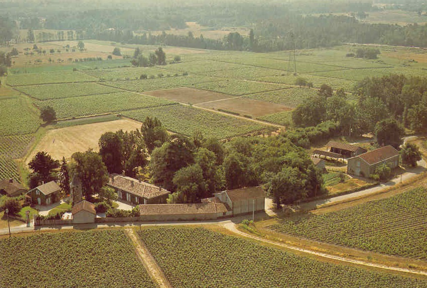 Château Latour Martillac n°2