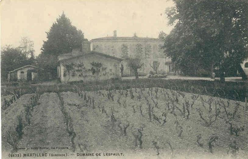 Château Lespault n°2- Domaine