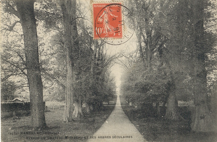 Château Mirebeau n°4