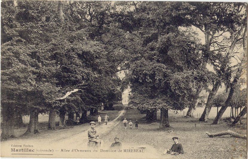 Château Mirebeau n°5